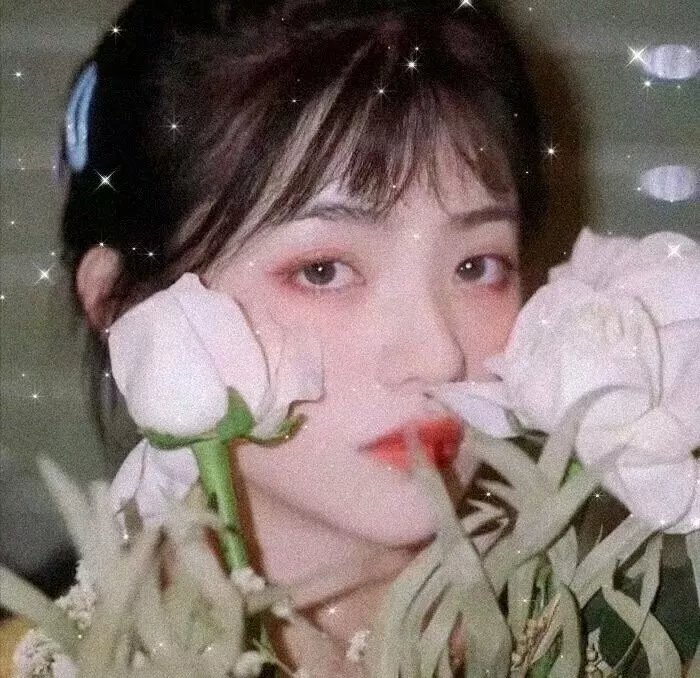 春梦泪痕
